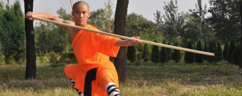 Wushu Kung-Fu – SEDE